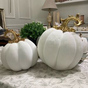 White and gold pumpkins